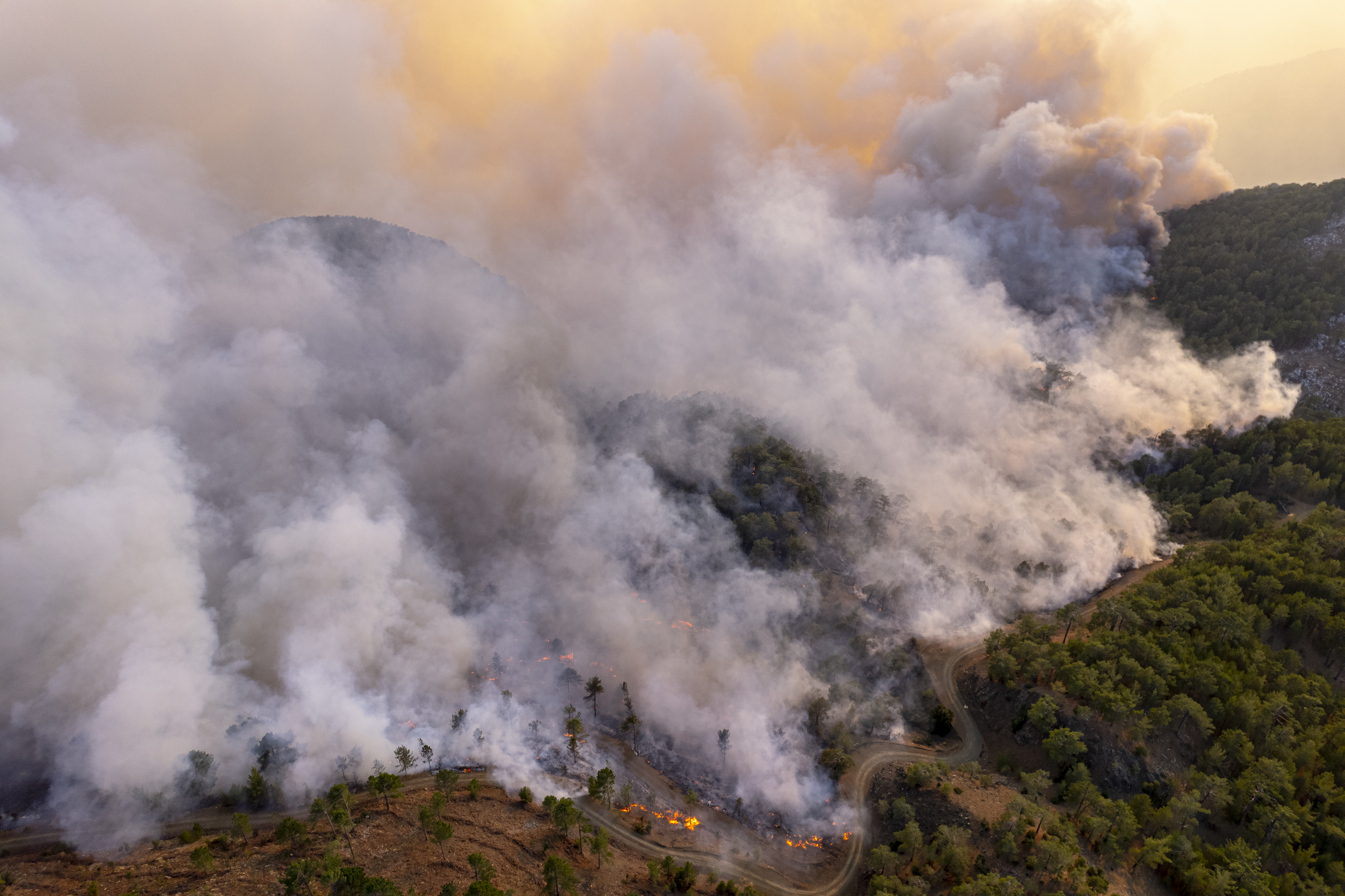 Europe heatwave death toll highlights growing public health crisis across the old continent